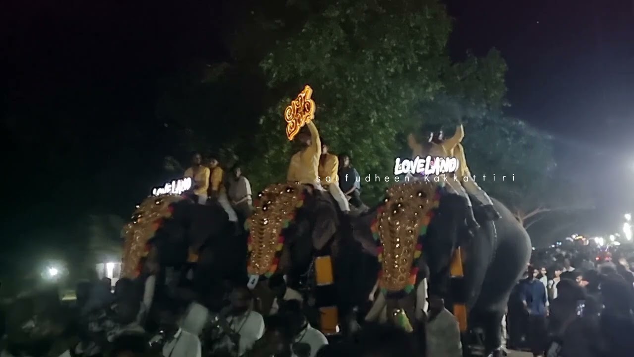 vk കടവ്‌ ഫെസ്റ്റ് 2024 രാത്രി കാഴ്ച