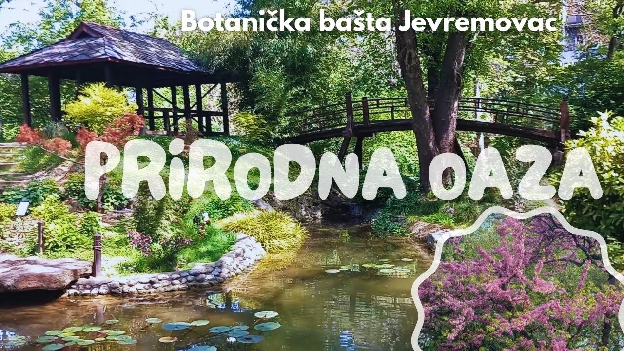 Botanička ba&scaron;ta Jevremovac I Japanski vrt, Staklena ba&scaron;ta, boje i zvuci prirode