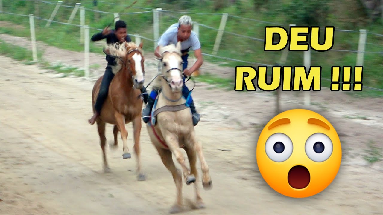 DESAFIO: Granada vs Baio de Mundo Novo - Corrida de cavalos