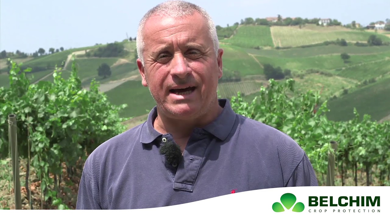Esperienza Diserbo con Chikara Duo in vigneto: parla Carlo Ferrari dall'oltrepò pavese