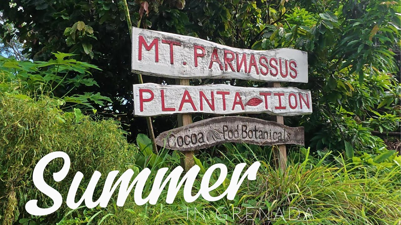 MT.PARNASSUS PLANTATION Grenada