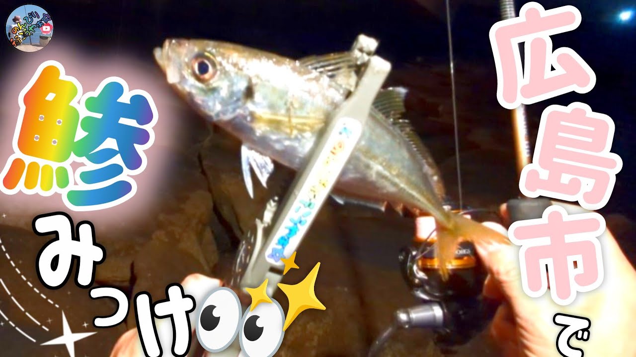 1月中旬釣行🎣ココのポイントにもアジが居た🤩✨エステルラインのテスト釣行で奇跡のアジが釣れました🐟