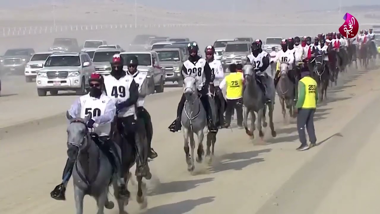 إلى المنصة 2 - كأس صاحب السمو رئيس الدولة للقدرة 160 كم