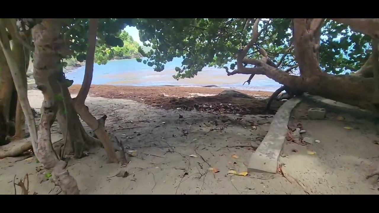SECLUDED BEACH OF SPEYSIDE TOBAGO 🇹🇹