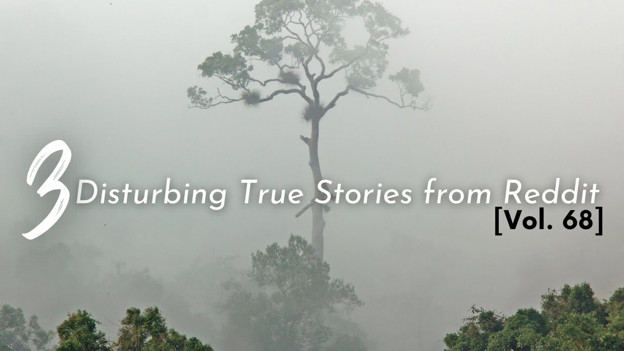 3 Disturbing True Stories from Reddit [Vol. 68]