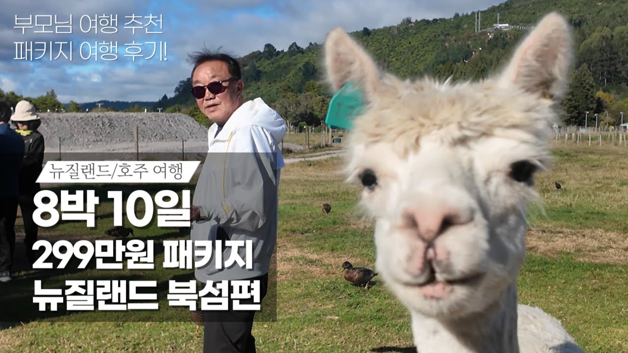 [패키지 여행] 뉴질랜드/호주 8박 10일 299만원 패키지 후기 :: 뉴질랜드 북섬편