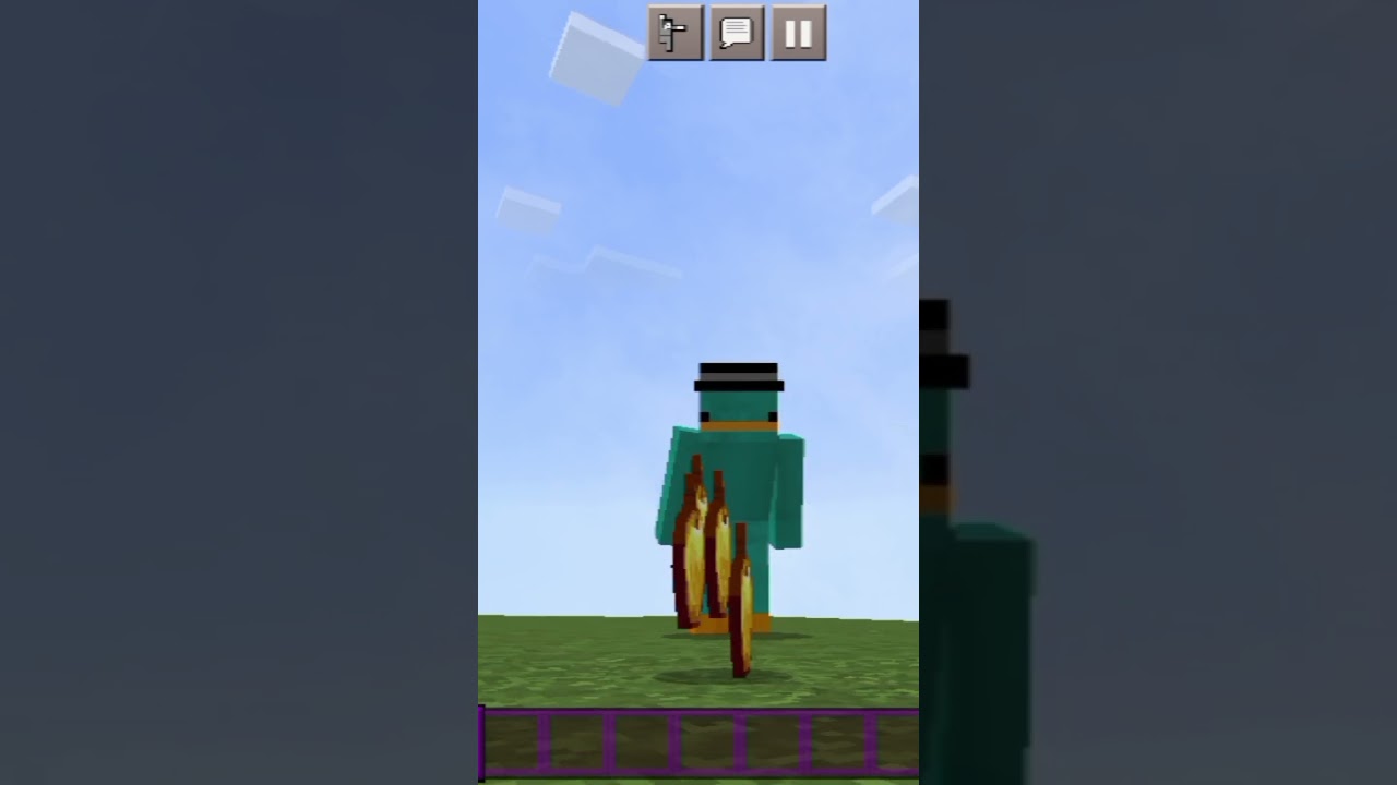 How much weight can carry minecraft character