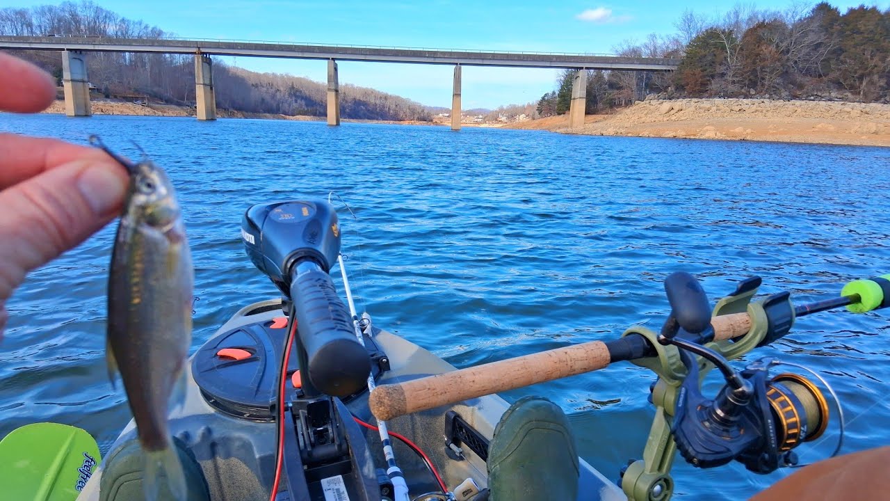 Searching for Appalachian Giants (Trolling w/ Shiners)