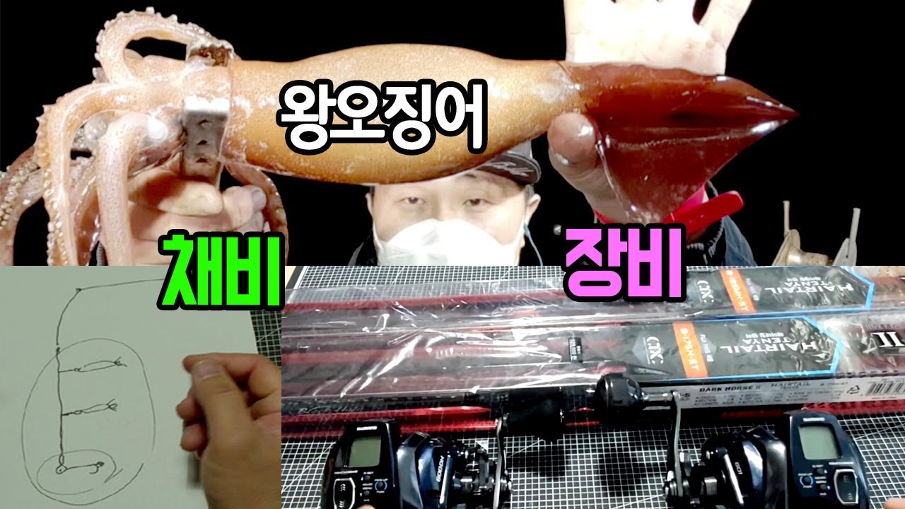 왕오징어 낚시의 모든것 장비 채비 미끼 묶는법 텐야로 왕오징어 잡는법