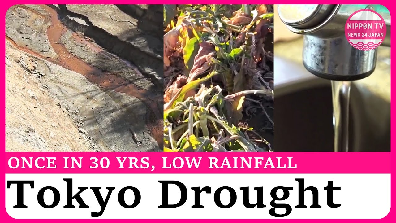 Once-in-30-years drought drains Tokyo’s water sources