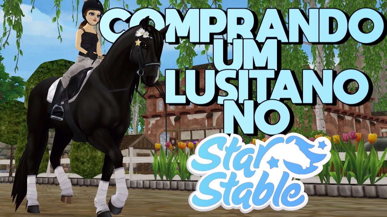 COMPRANDO UM CAVALO NO SSO (DE NOVO)