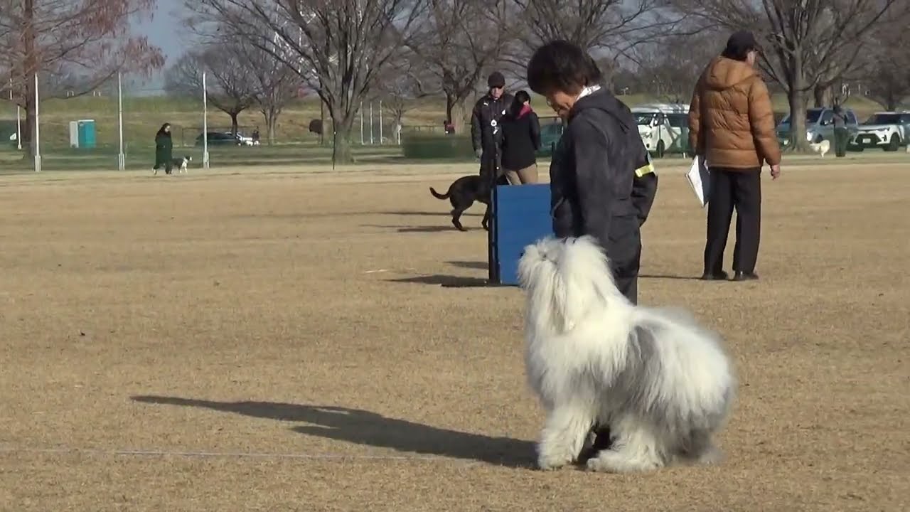2026.2.15　FCI東日本インターナショナルトライアル　ラムネ