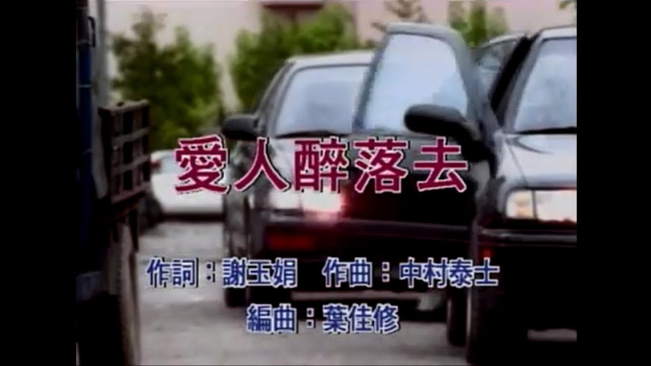 蔡小虎 - 愛人醉落去