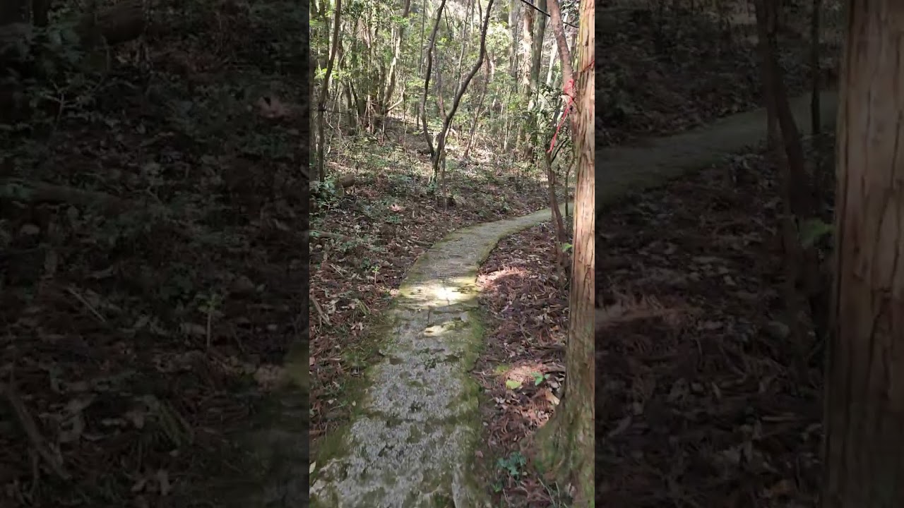 선도암 보덕굴사 가는 길(길만)