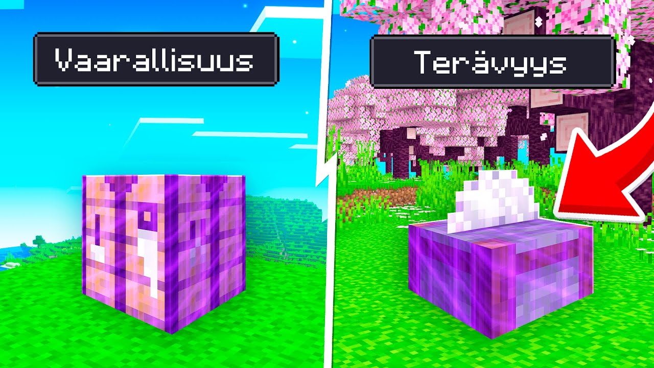 BLOCKIEN LUMOAMINEN MINECRAFTISSÄ?!