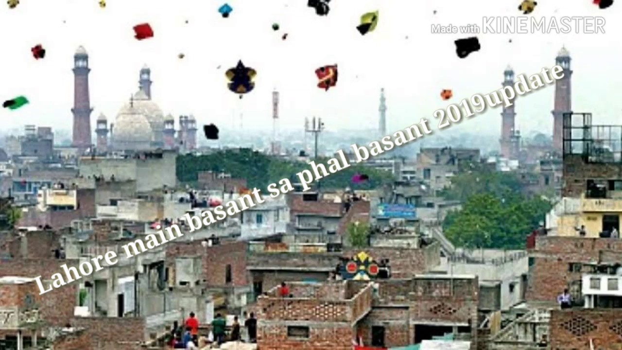 Lahore main basant sa phal basant 2019update