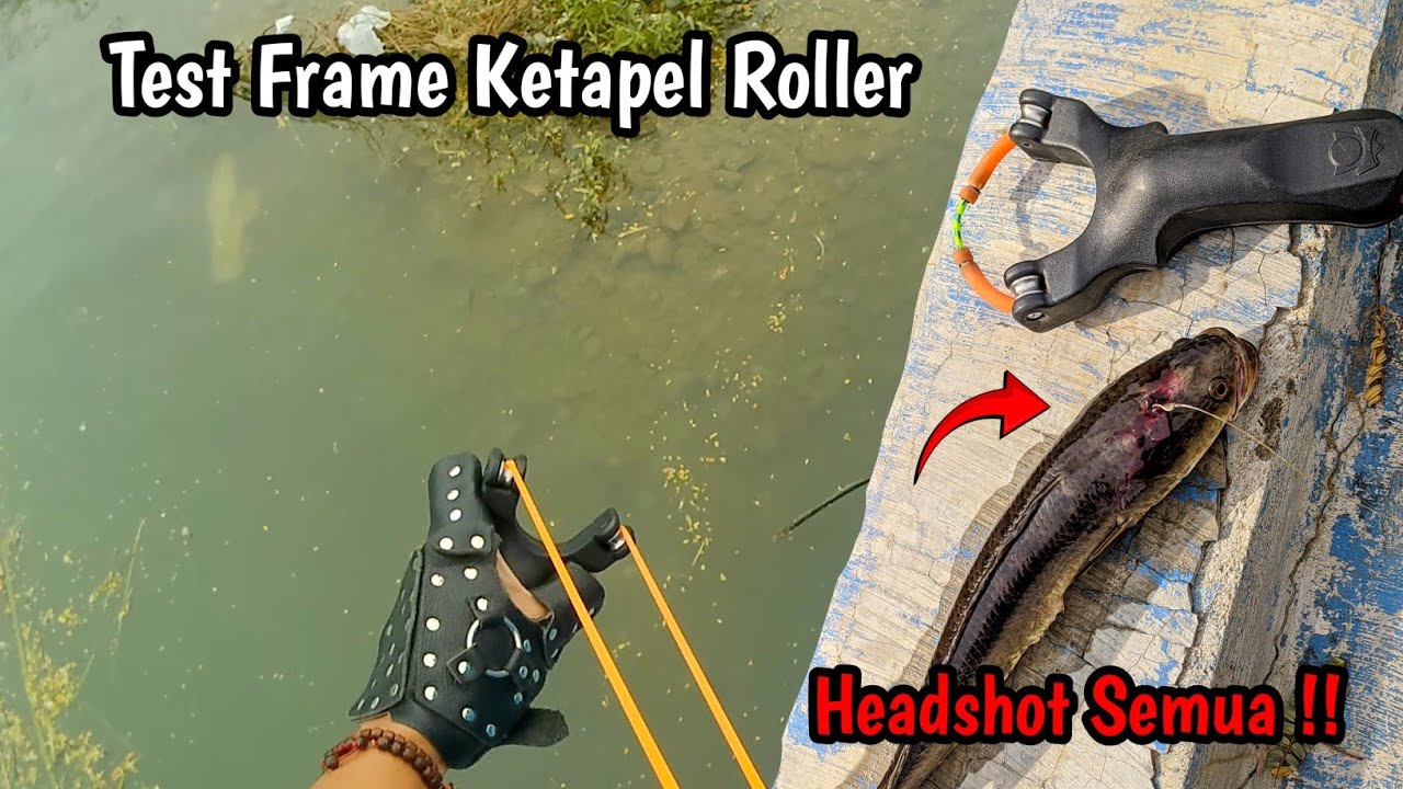 🔥Habis banjir besar ikannya ngumpul di pinggiran sungai || Ketapel ikan gabus | Slingshot Fishing