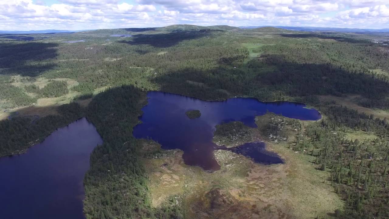 Veståsen, Ål i Hallingdal