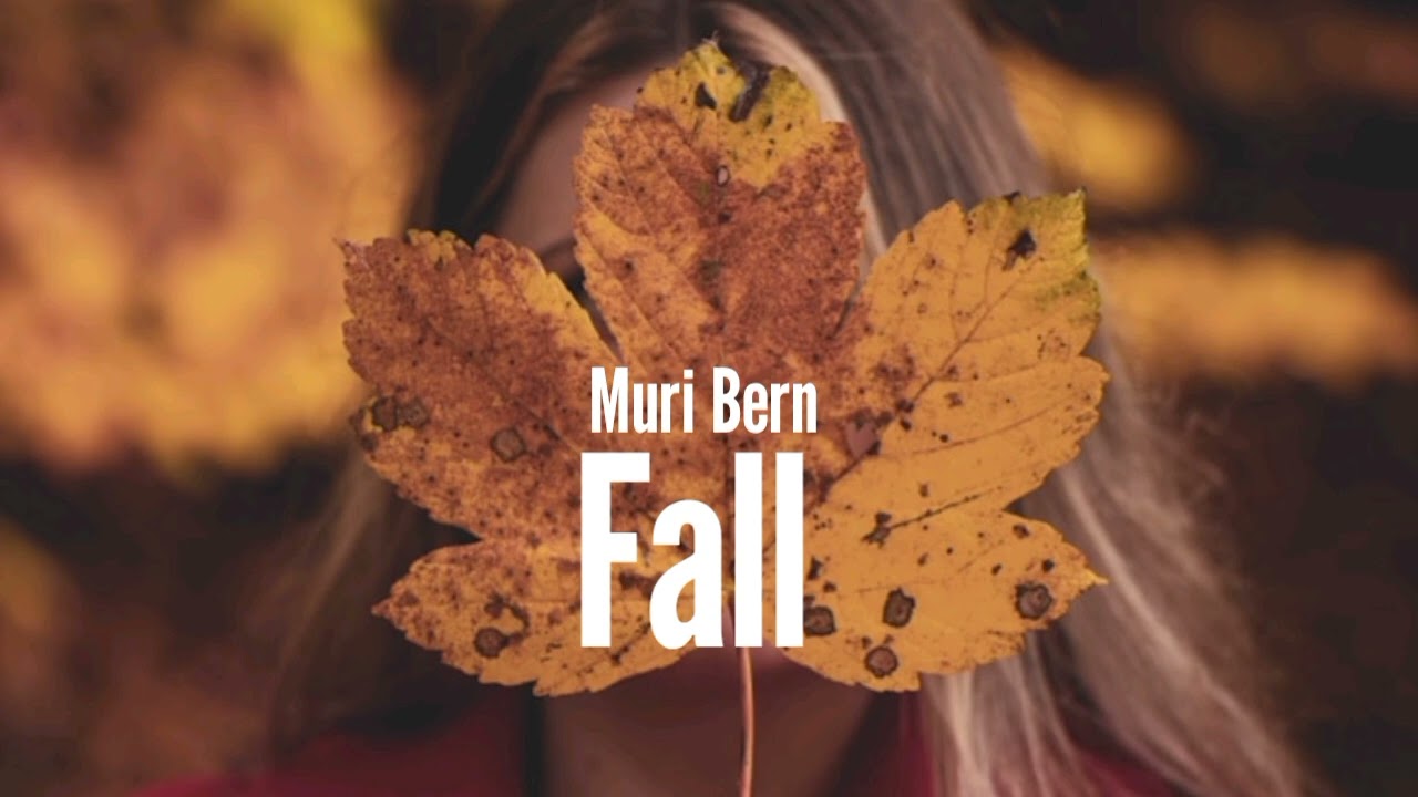 Muri Bern - Fall