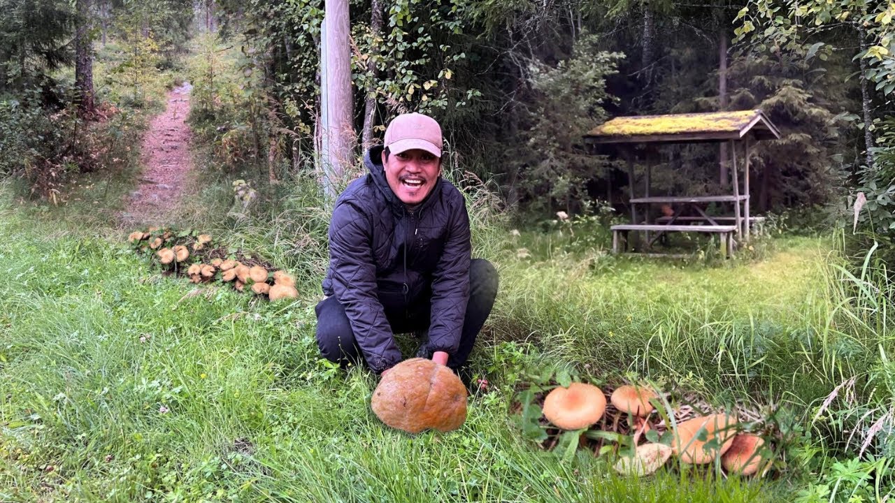 NAGKALAT ANG KABUTE SA MALA-PARAISONG GUBAT NA NADISKUBRE!!! MUSHROOM FORAGING, PICKING AND HUNTING!