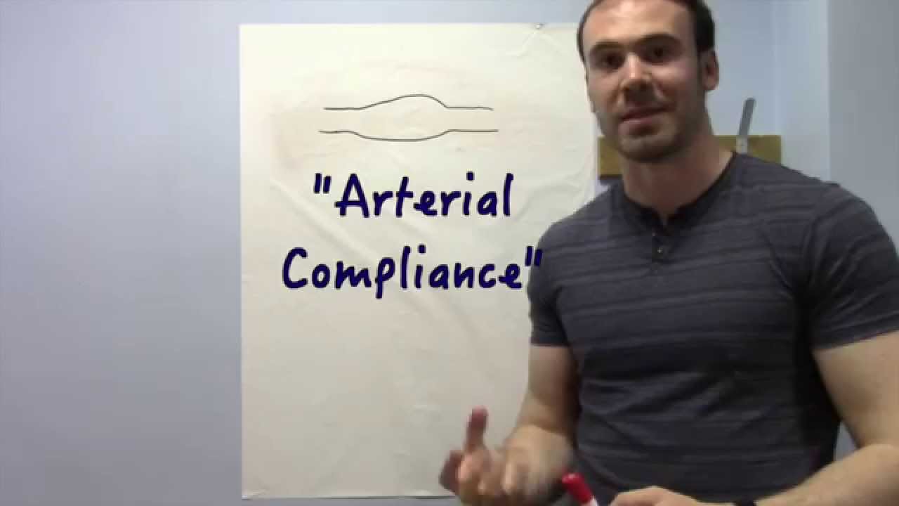 What Happens to Our Arteries When We Exercise? | The Evidence Exercise | Episode 4