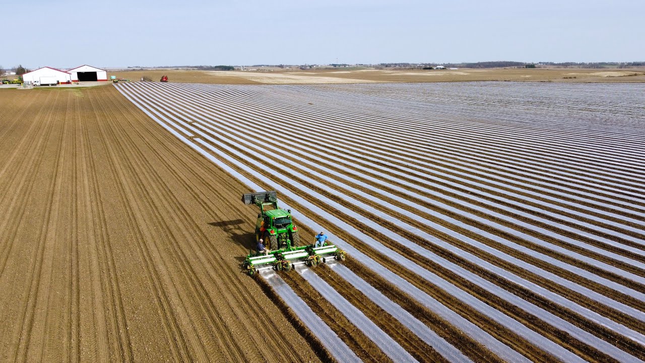 Planting Early Wisconsin Sweet Corn | John Deere 6420 | Plant 2023