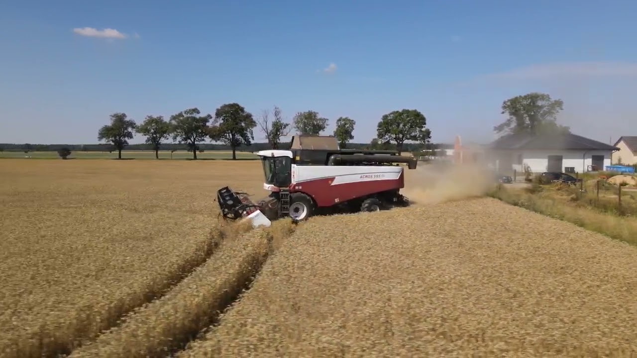 Żniwa 2022 Strzałkowo