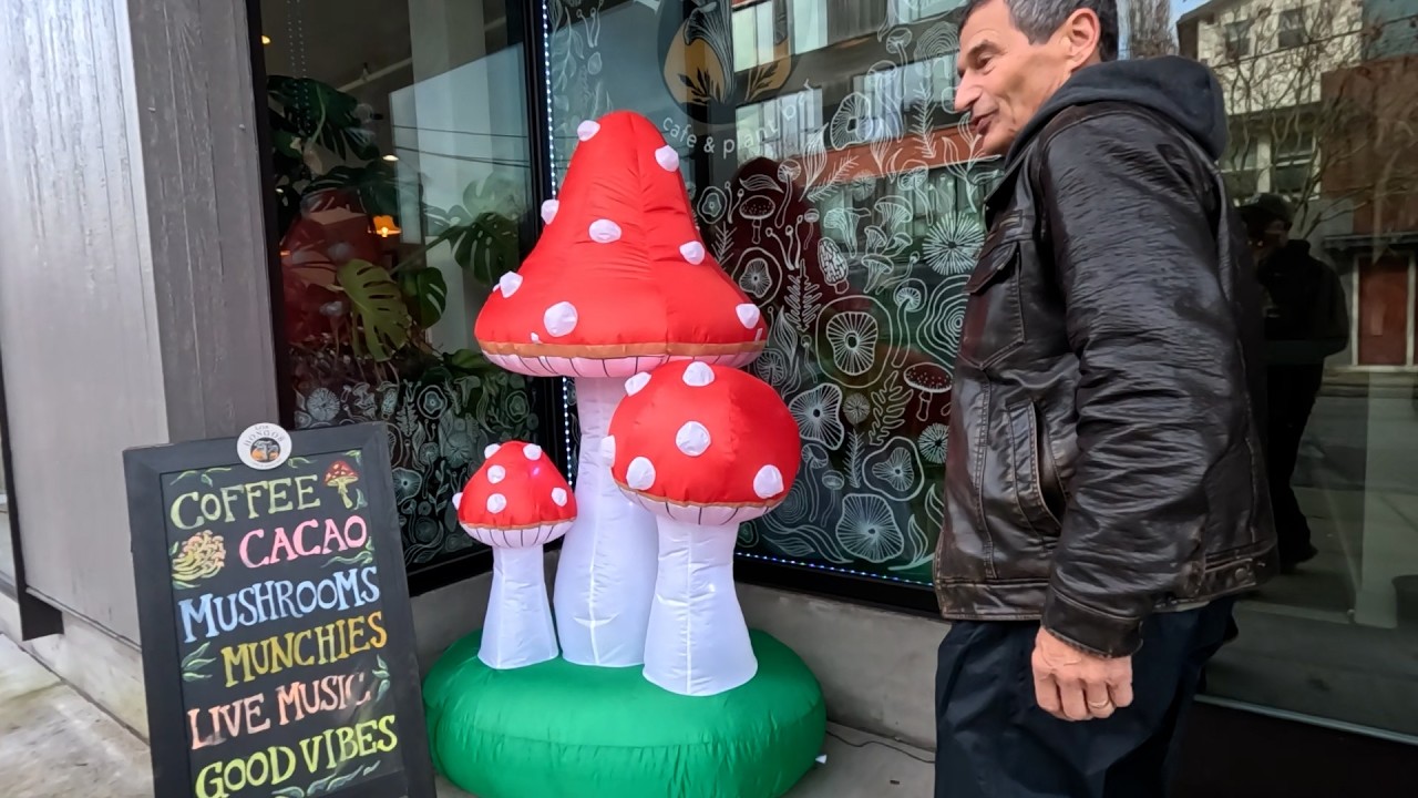 Going to a Mushroom Cafe in Portland