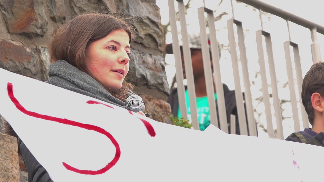 Fridays For Future Bingen 15 03 2019