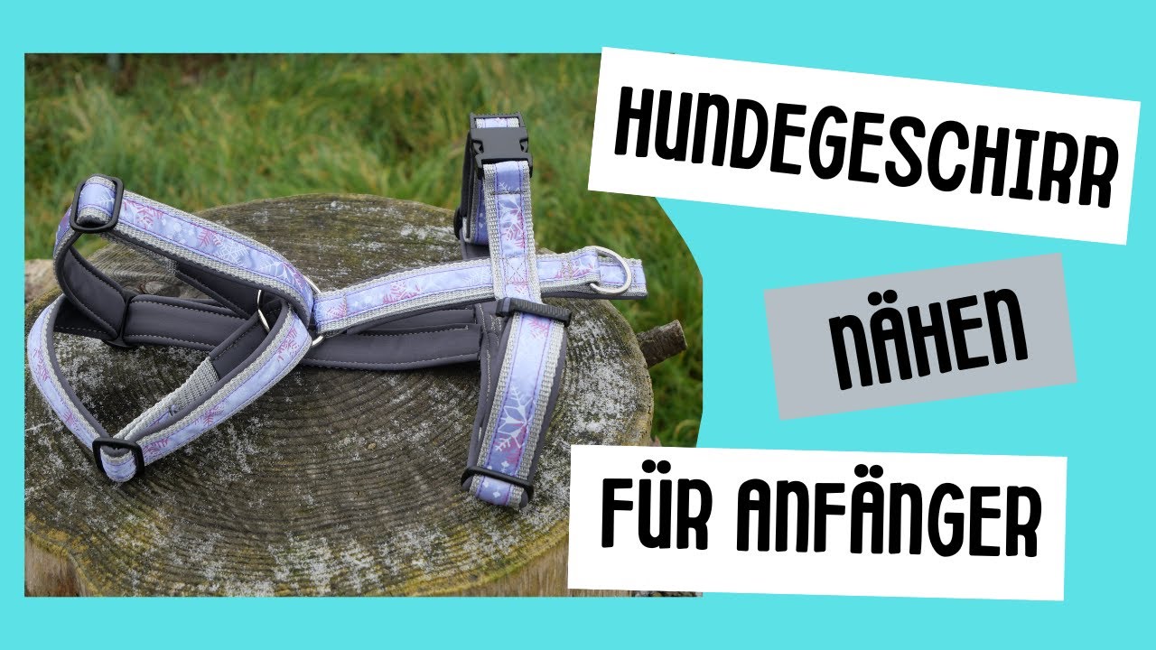 Hundegeschirr nähen DIY für Anfänger, verstellbares Geschirr Hund nähen, gratis Anleitung