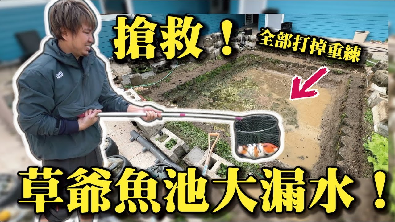 【緊急搶救！草爺魚池大漏水！】全部打掉重練大工程！