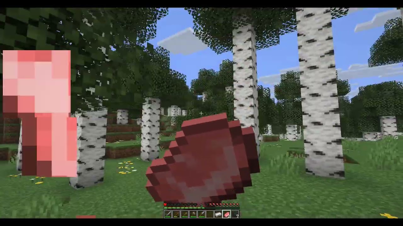 Thirds time a charm (Beating Minecraft)