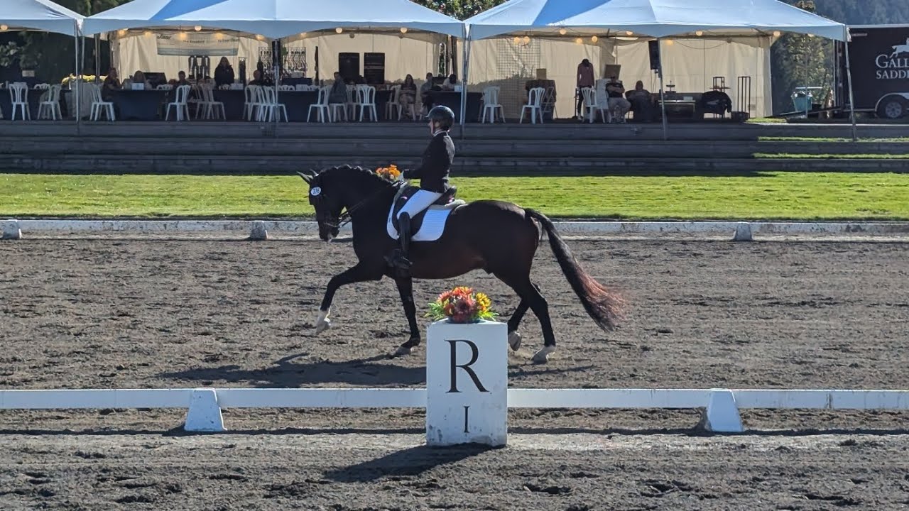 London and Erika - 3rd Level Freestyle Championship ride