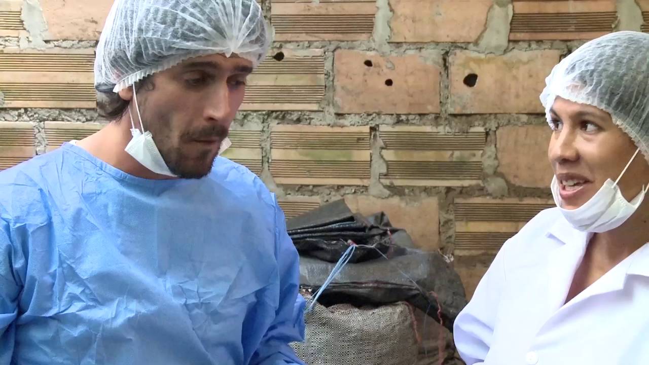 La ruta del Sacha Inchi (programa completo)