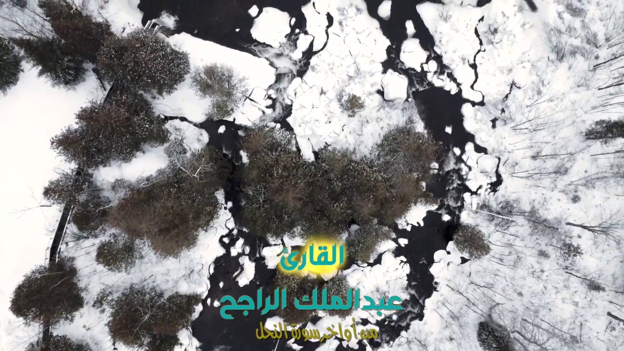 عشائية طويلة ومسترسلة من أواخر النحل .. القارئ : عبدالملك الراجح