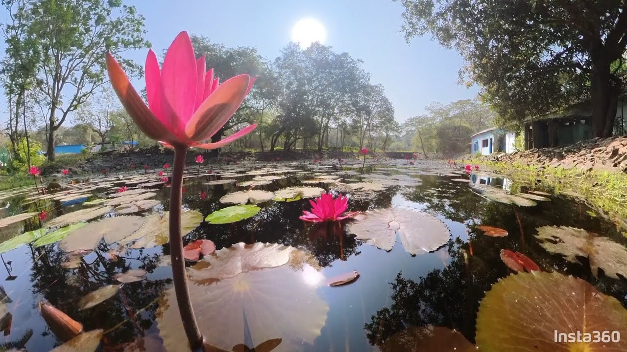 JNPT Adams Shankar Mandir #devbhoomi #mahadev #Shanteshwari #viralvideo #uran #jnpt #insta360