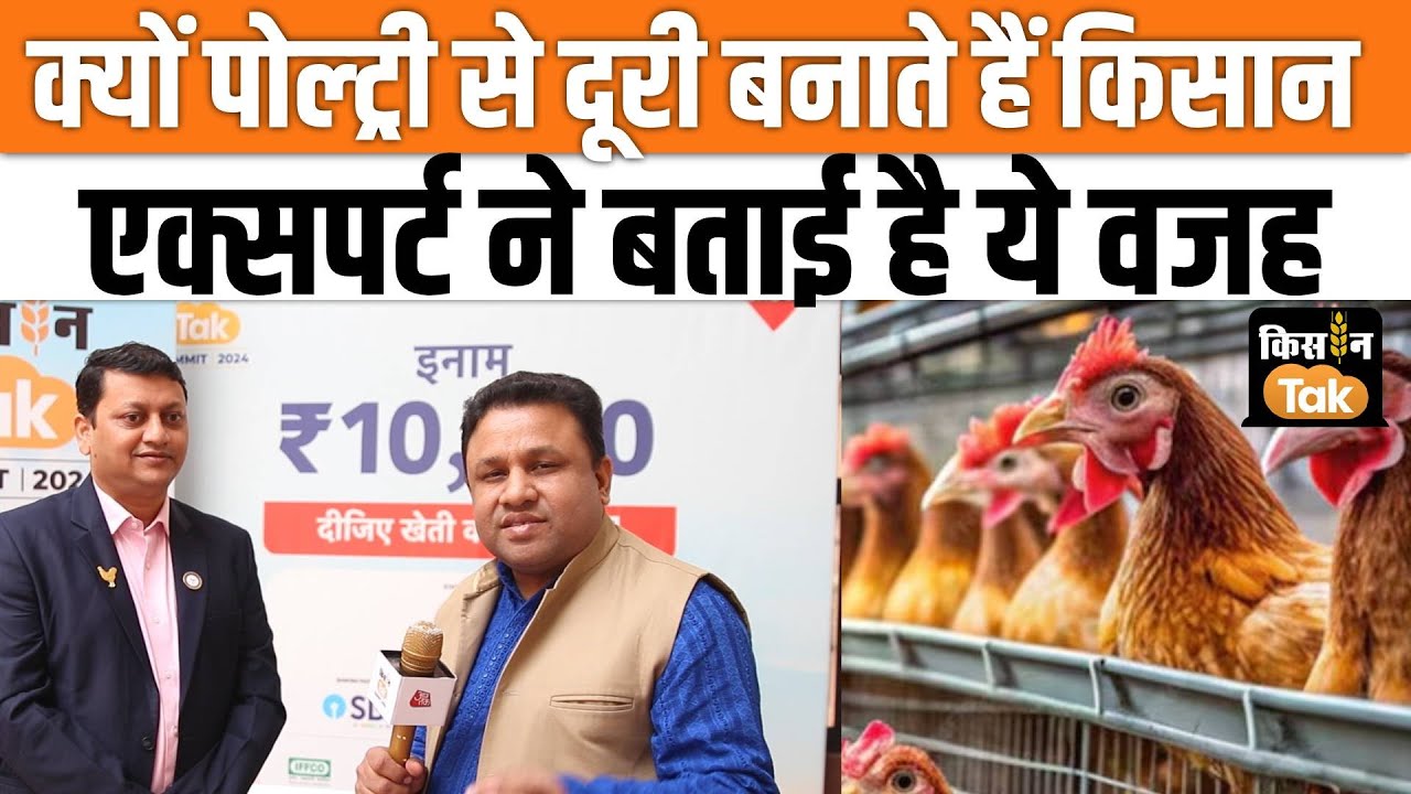 Poultry Industry: पोल्ट्री फार्मिंग में क्यों नहीं आना चाहते हैं लोग, एक्सपर्ट से जानें वजह #news