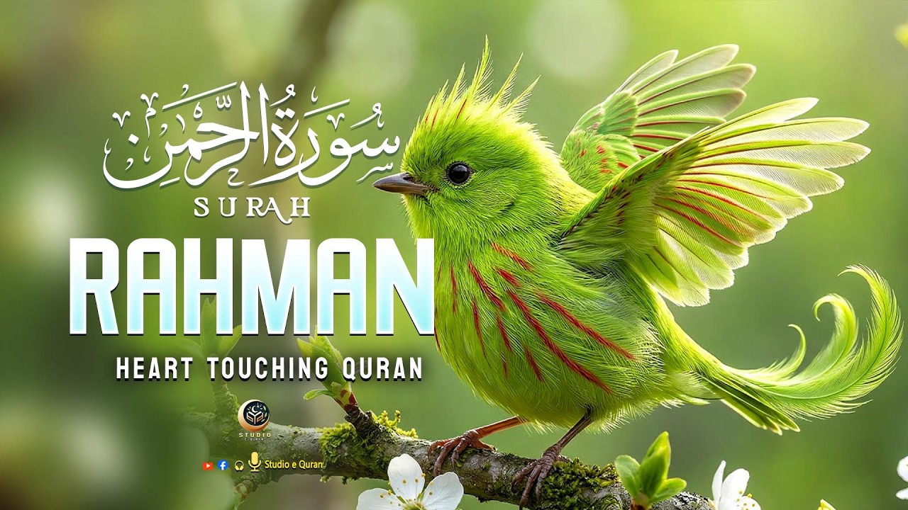 Surah ar rahman Very Very beautiful recitation ✶ To Soothe Your Heart। سورة الرحمن ✶Studio-e-Quran