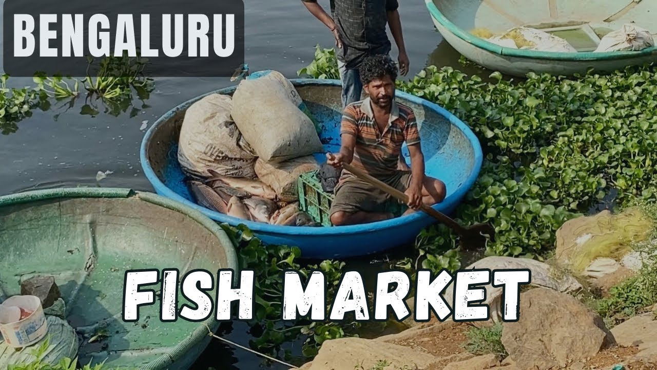OMG! 6kgs , শশুর জামাই মিলে এ কি করলো … Bengali fish market in Bangalore #familyvlog