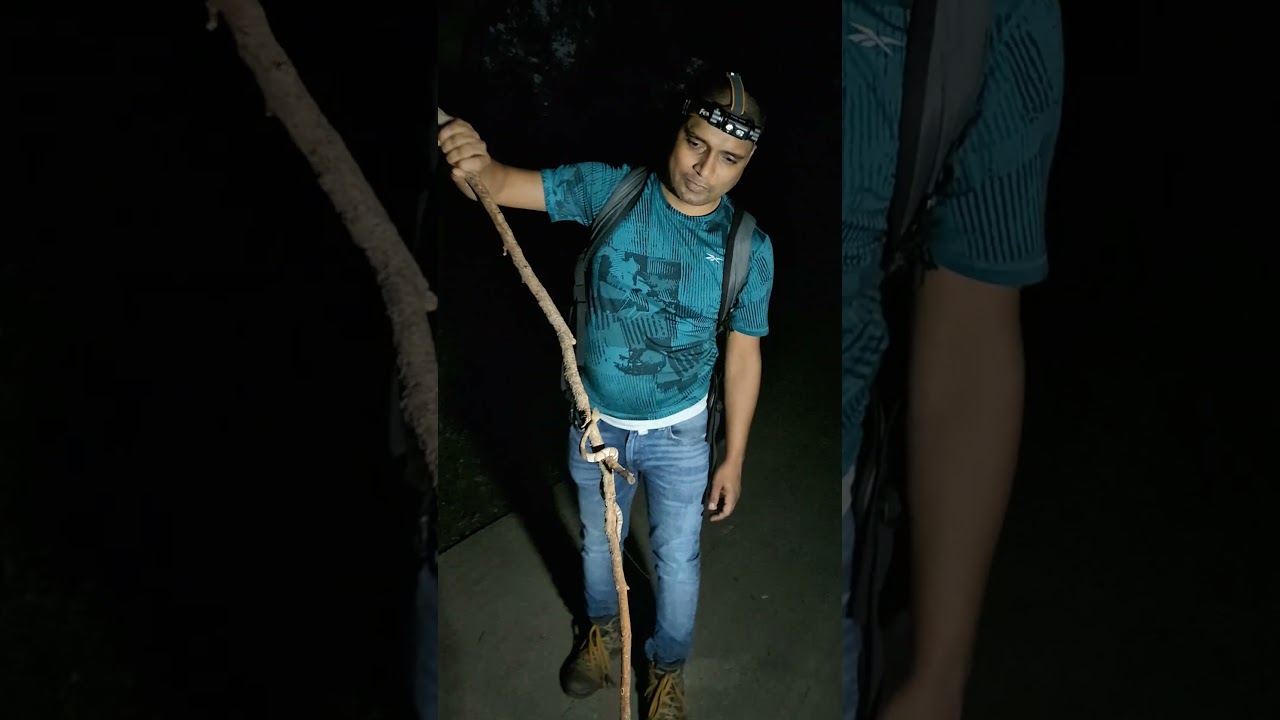 Broadbanded copperhead .. 