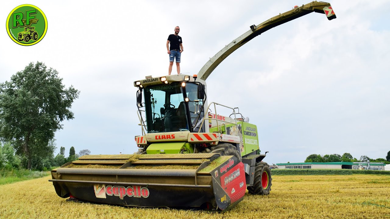 |Claas Jaguar 900 + Capello Spartan 520 |Triticale 2022|4K| Team Scquizzato|