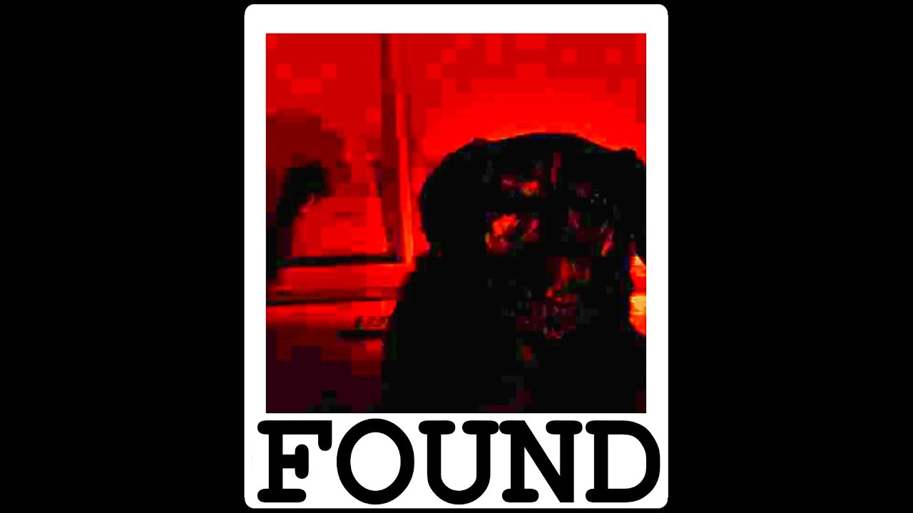 Smile Dog Origins - Update