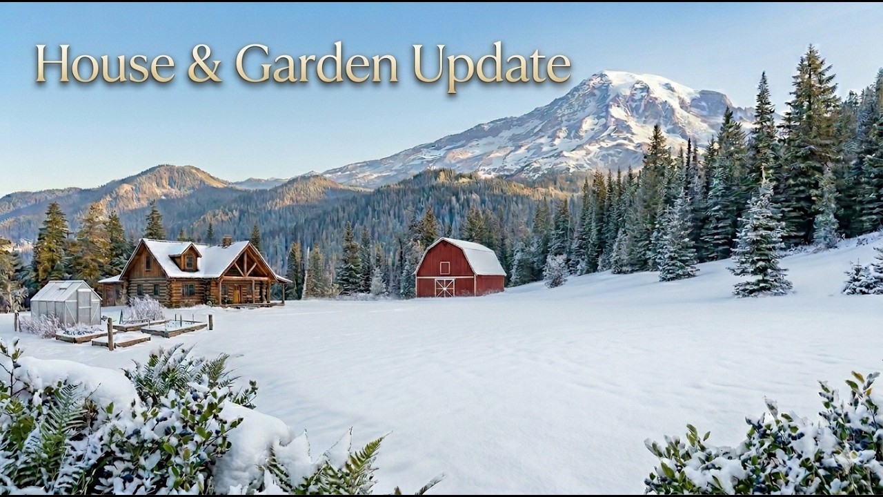 నా House & Garden Update ❄️ Snow లో కూడా పని ఆగలేదు! | Episode 2 Telugu USA