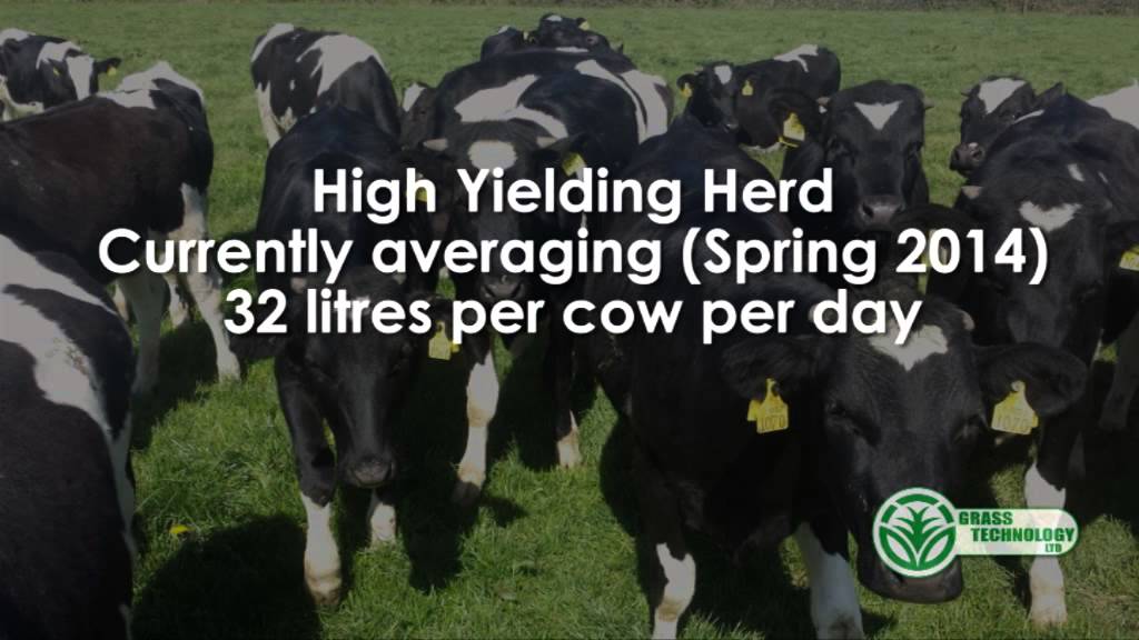 Zero Grazing Customer with Grass Technology