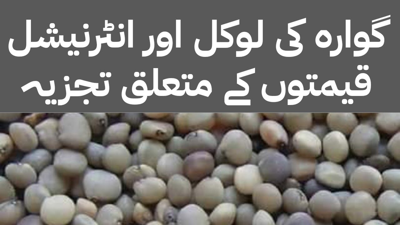 Guar price analysis local and Pakistan market comparison