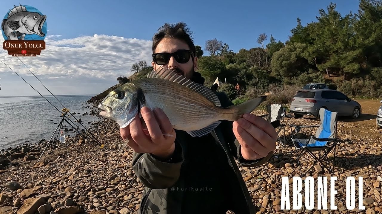 ÇİPURA AVI -SAROZ BALIK AVI #youtube #balık #balıkavı #fishing #shorts #youtubeshorts