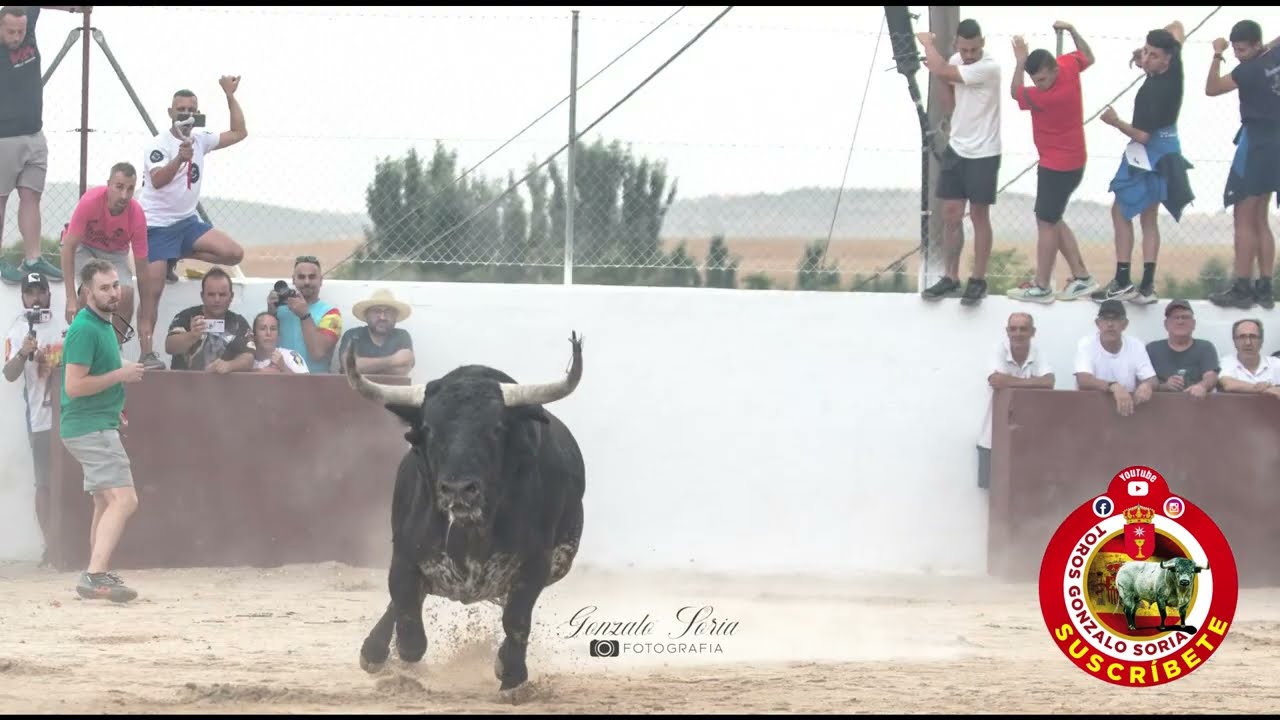 7 TRESJUNCOS TORAZO CEBADA GAGO 2023
