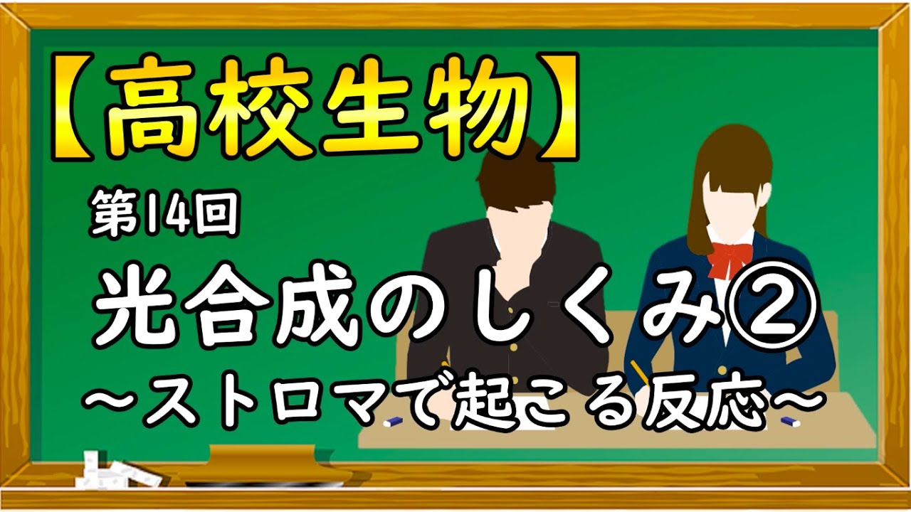 高校生物【第14回 光合成のしくみ②～ストロマで起こる反応～】オンラインで高校授業
