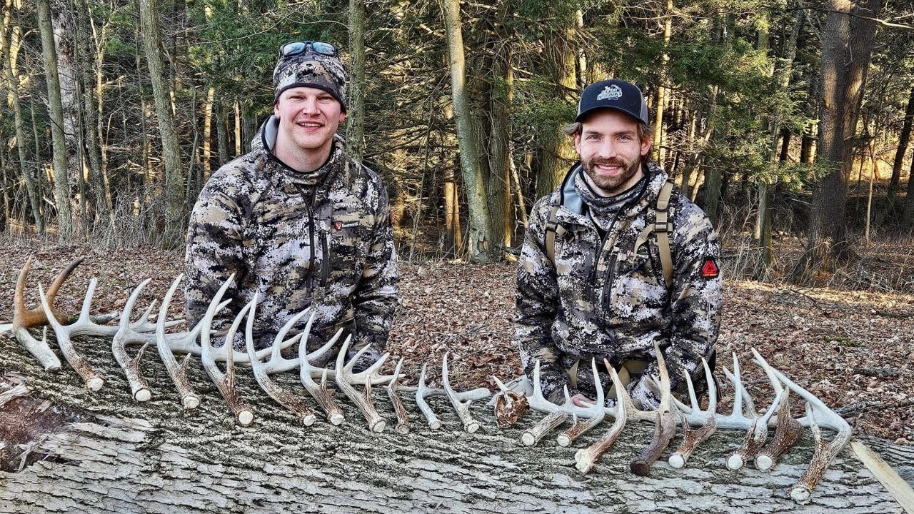 Shed Hunting Pennsylvania 2025 - Antlers EVERYWHERE