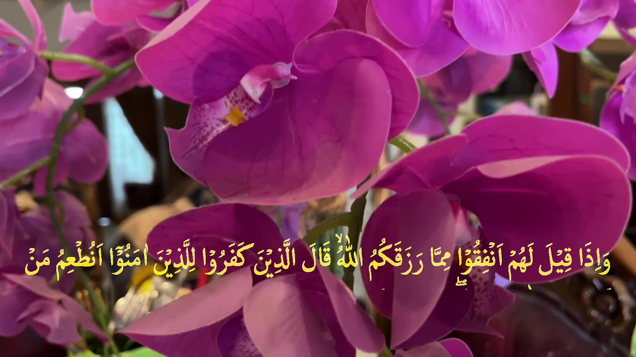 👉 Yosin surasi to‘liq 83 oyat | Yurakni tinchlantiruvchi go‘zal qiroat